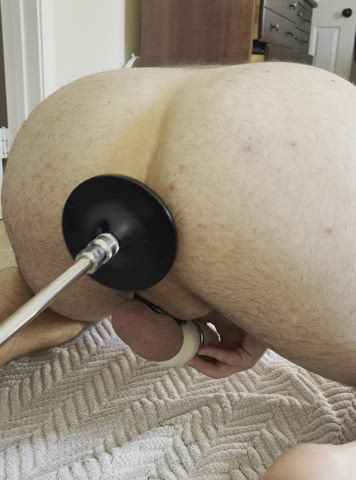 anal play bubble butt chastity fuck machine male masturbation vibrator gif