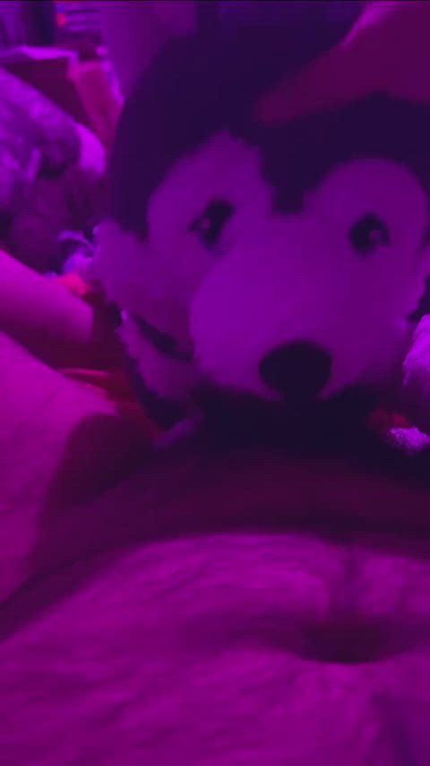 Husky Plushie BlowJob OverStim Torture :3