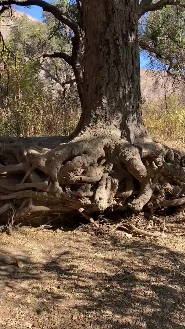 She loves nature