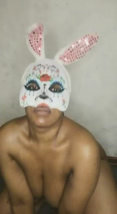 your bunny is ready