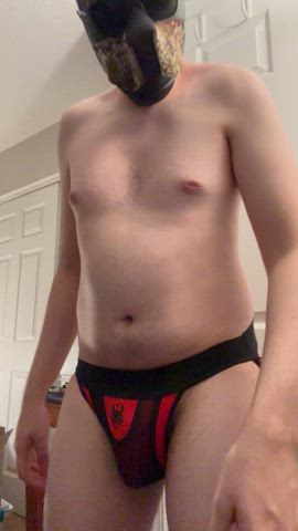 amateur big dick bulge cute gay puppy reveal solo underwear gif