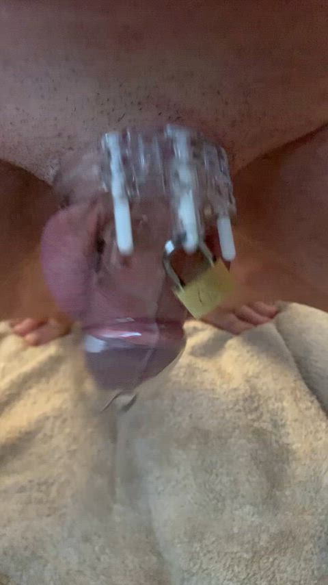 Chastity Cum Dripping 