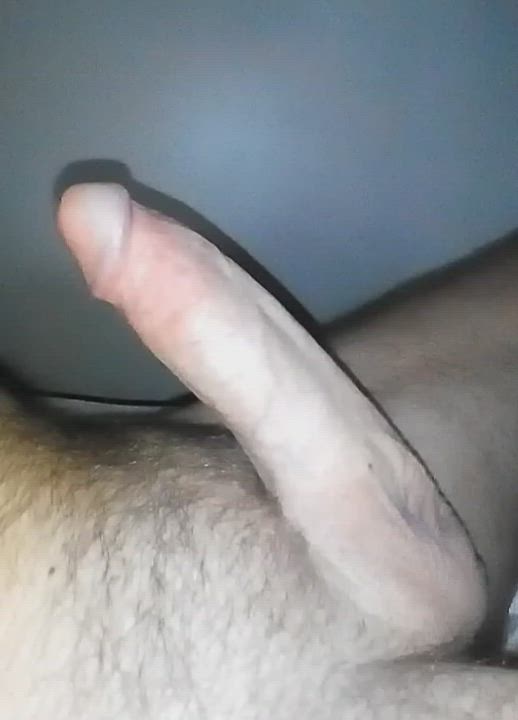 My hard cock needs to be ridden! DM open.