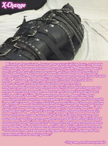 bdsm latex leather xchange gif