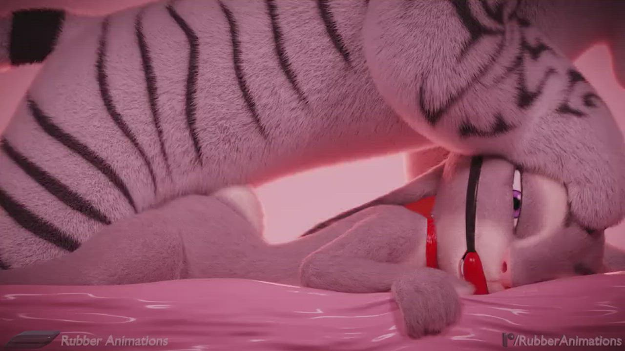 Animation BDSM Ball Gagged Bunny Kitty Pronebone gif