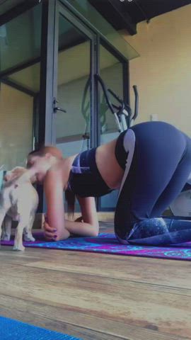 Ass Doggystyle Leggings Yoga Yoga Pants gif