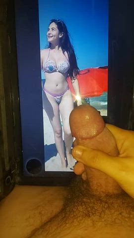babe big tits bikini boobs egyptian jerk off malaysian sister tribbing tribute gif