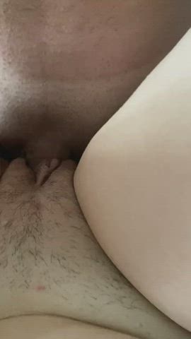 amateur cheating creampie cuckold hairy pussy wet pussy gif