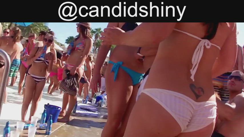 bikini party pool swimming pool gif