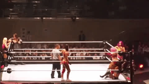 lesdom softcore wrestling gif