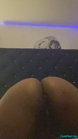 ass ass clapping big dick bubble butt butt plug ebony pussy twerking gif