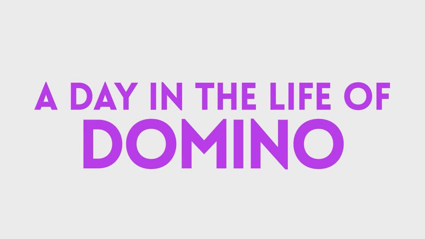 Sneak peek at "A Day In The Life Of Domino"