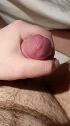 Male Masturbation Precum Solo gif