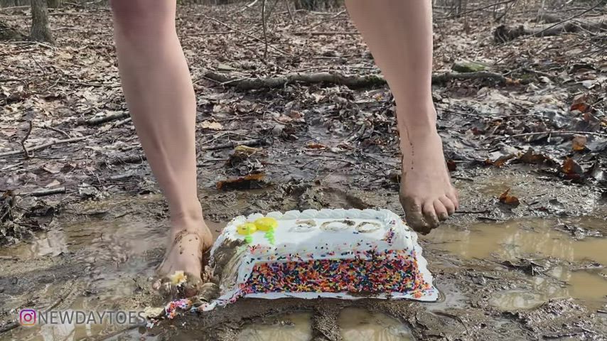 Cake and mud squish