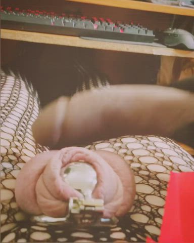 BBC Ballbusting CBT Chastity Cumshot Hands Free Sissy gif