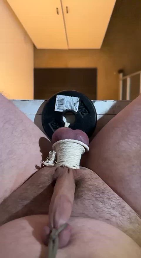 cbt slave torture gif