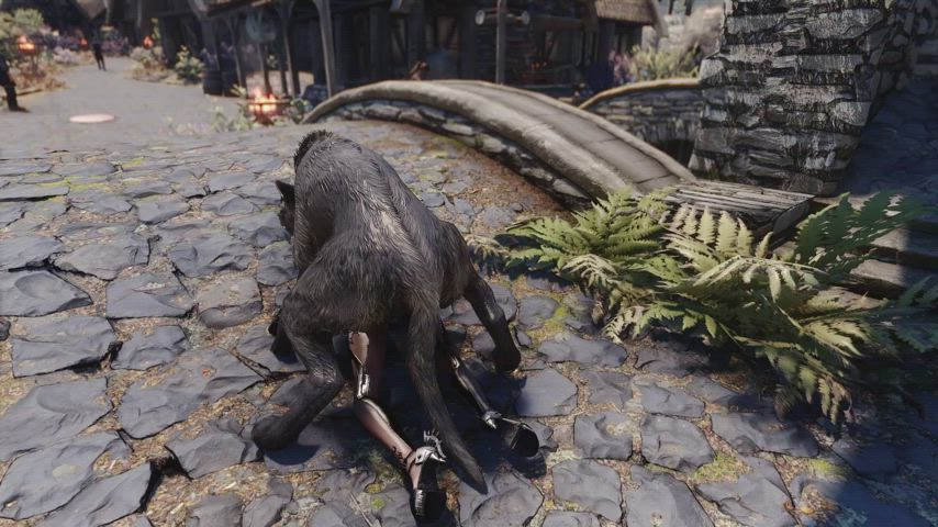 Girl gets pounded by a huge wolf both inside and outside of Whiterun (OC, has sound
