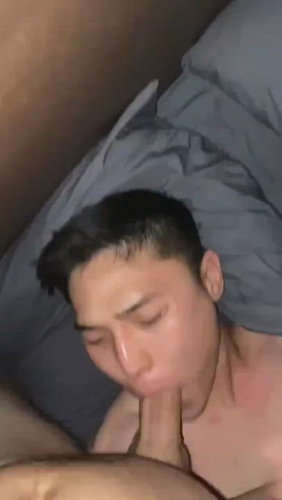 Asian Big Dick Sucking Twink gif