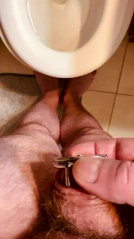 Chastity Little Dick Pee Peeing r/sph gif