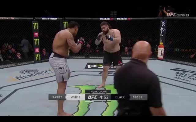 Hardy |Sosoli| S. counters leg kick with 4 -> Hardy's chin tested