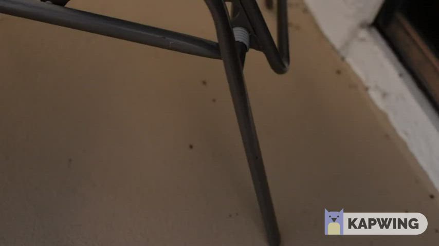 anal booty butt plug gif