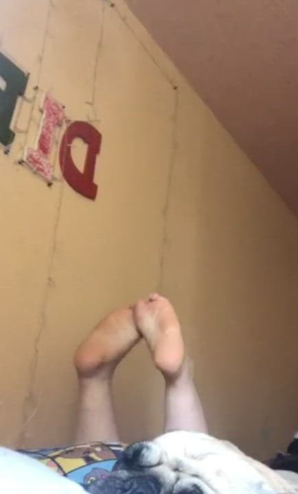 Feet Feet Fetish Soles Wrinkled gif