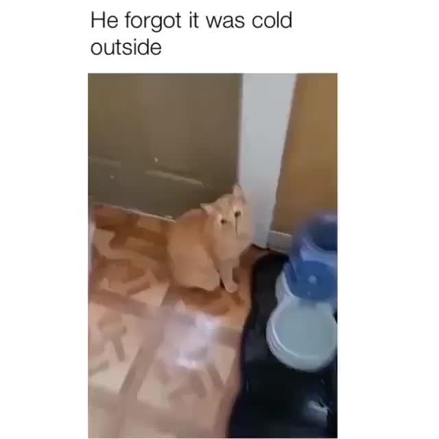 He forgot it was cold outside