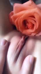 April Flowers Pussy Wet Pussy gif