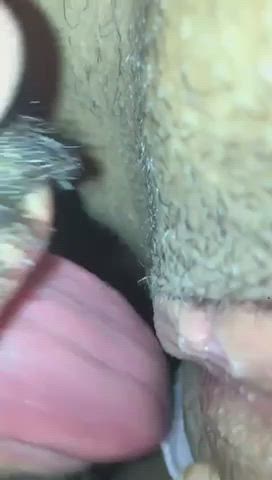 Cunnilingus Licking Pussy gif