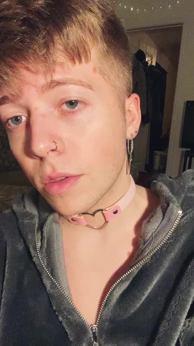 First time wearing a collar.. does it look okay? ?✨