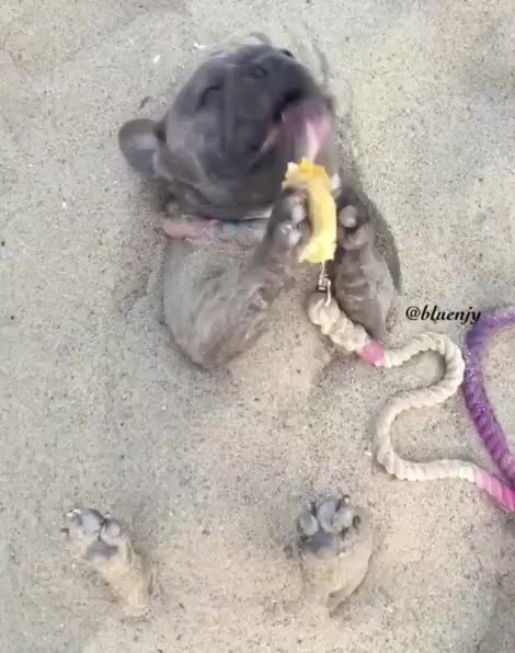 Relaxing on the beach