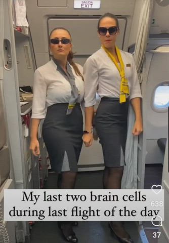 Busty flight attendant...