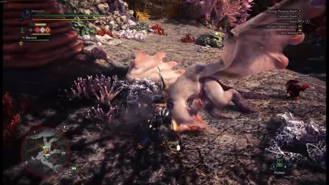  giant bat, experienced fierce monster hunter and a human got rekt by a frog