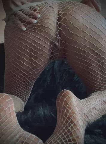 Ass Spread Fishnet Pussy gif
