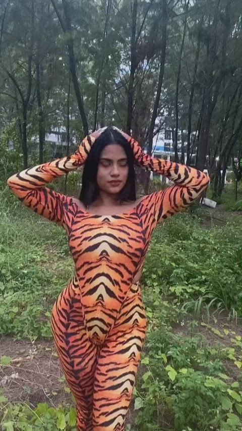 Kaizeen tiger 🐅