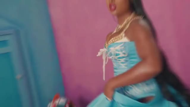 Megan Thee Stallion - Don't Stop dance