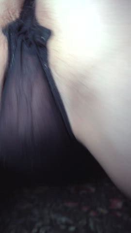 asshole pussy see through clothing asshole-behind-thong gif