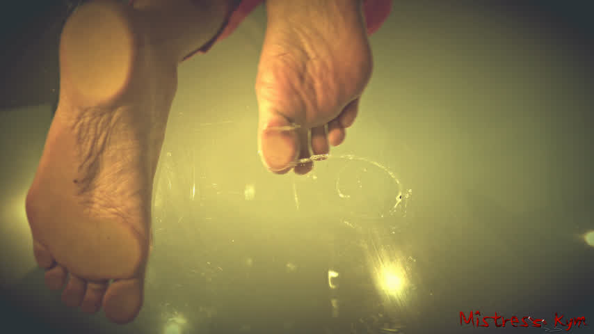 Couple Femdom Fetish Foot Fetish Foot Worship Mistress Slave gif