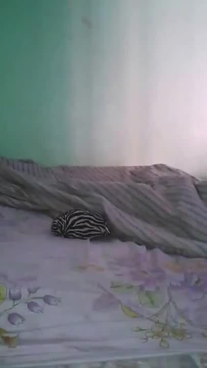 Latina Twerk on Bed from TryLatinas.com