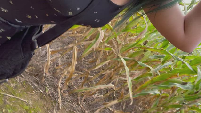 Nothing says spooky season like public sex in a corn maze.