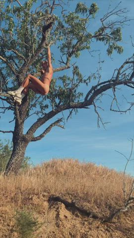 I like to climb big trees. And preferably naked. How big is your tree?