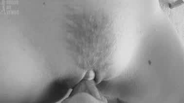 pussy pussy lips sucking gif