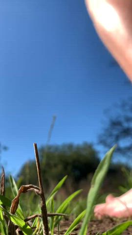 Nude walk in Customers garden, pretty sure I was caught.