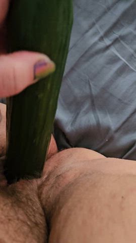 bbw close up cucumber hairy pussy masturbating object insertion gif