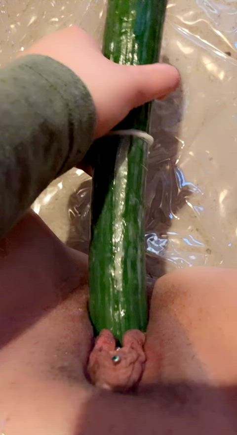 cucumber object insertion pierced piercing pussy lips pierced pussy gif