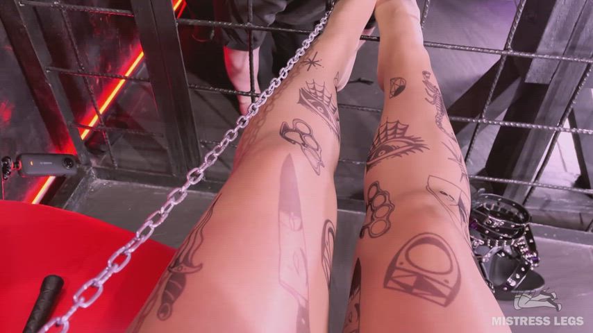 bdsm feet licking feet sucking femdom foot licking foot worship mistress nylons pantyhose