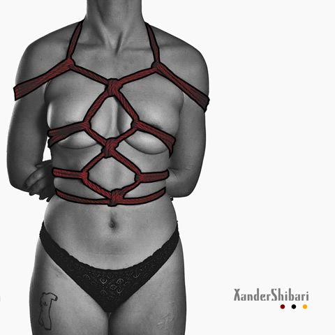 Simple Harness With Redrawn Overlay + Animated Rope Path