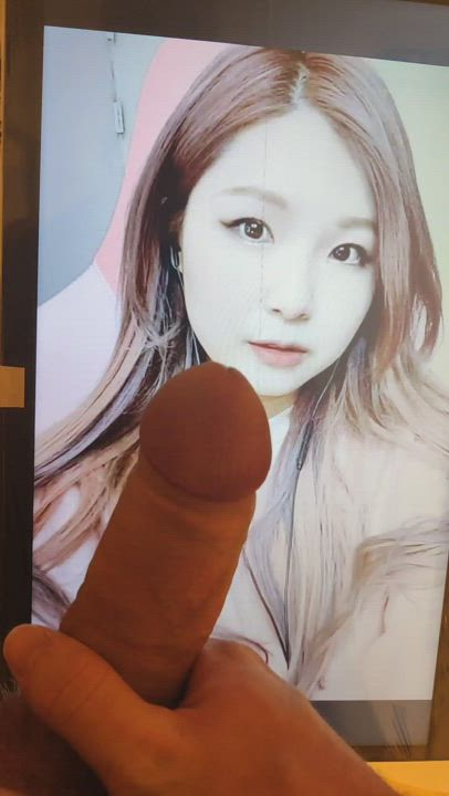 Asian Cock Cute Korean Tribute gif