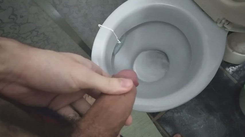 hairy cock pee peeing piss pissing toilet gif