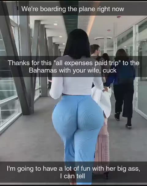 Your wife and your bull are about to board the plane for their vacation that you